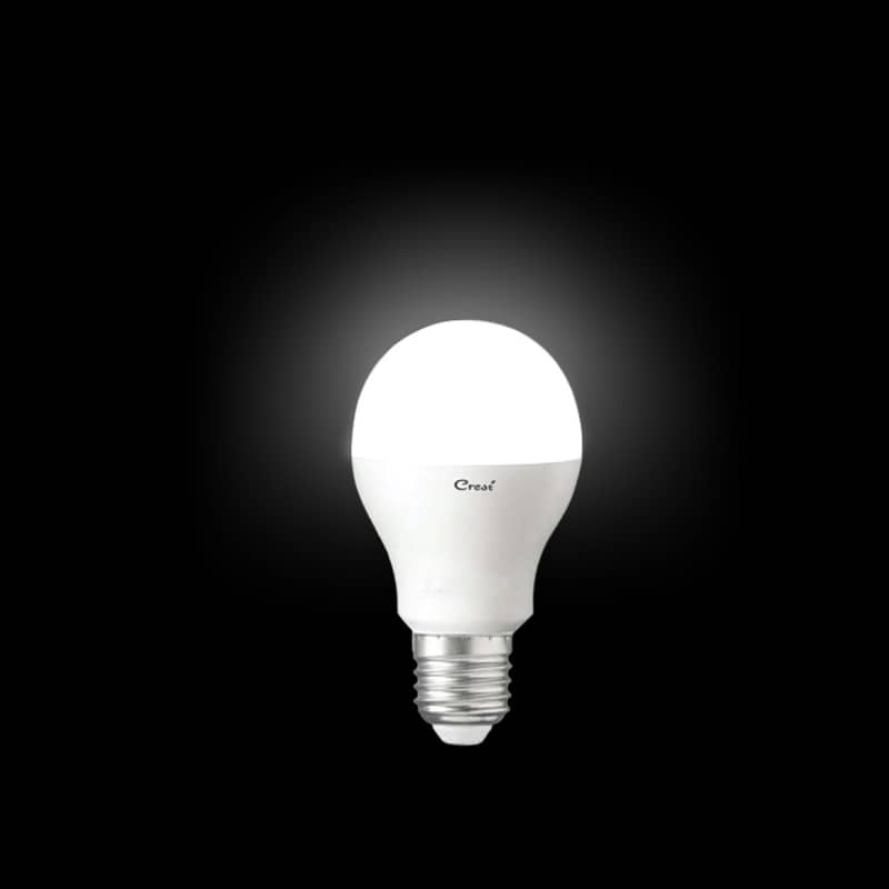 LED Light Bulb 2