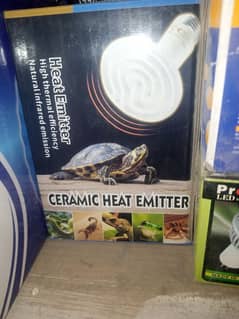 birds and reptiles heater