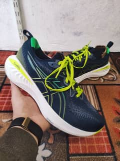 ASICS Gel Cumulus 25 Model 2023 | Size: EUR 44 CM 28