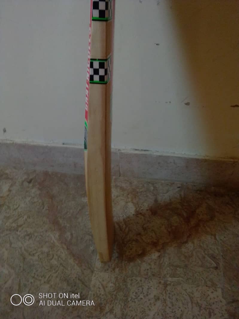 Hard ball Gray Nicolles English willow bat 2