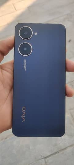 VIVO