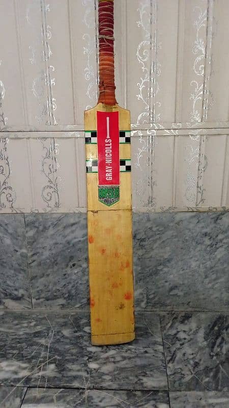 Cricket Pads and Bat. 2