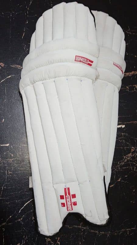 Cricket Pads and Bat. 5