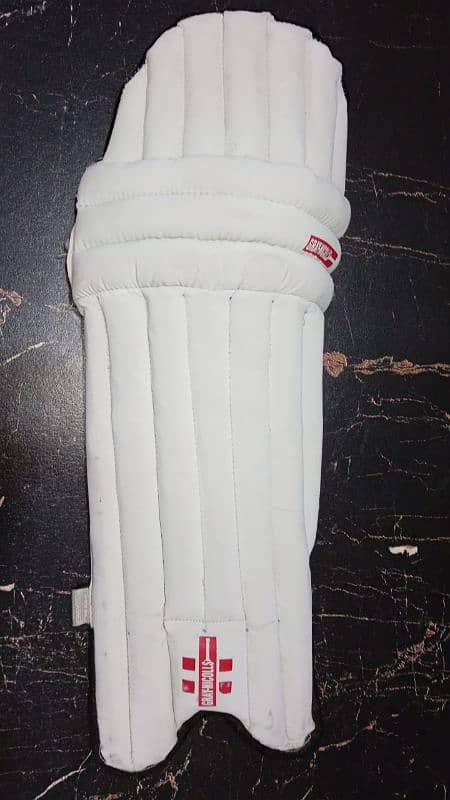 Cricket Pads and Bat. 6