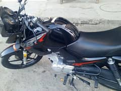 YBR 125