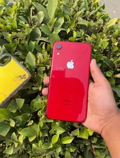 Iphone XR 64gb 10/10 Condition JV