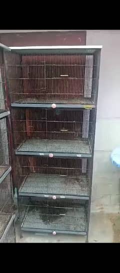 love birds cage