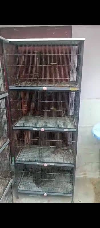 love birds cage 0