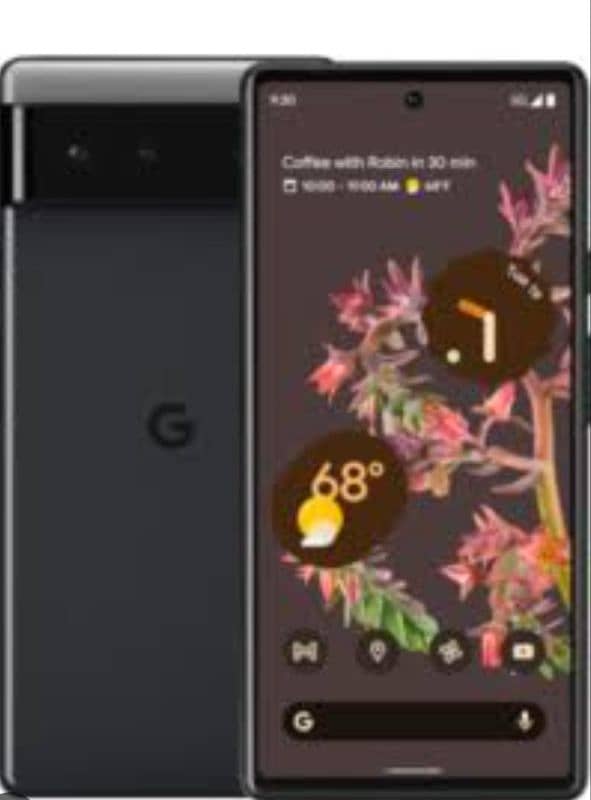 pixel 6 nonpta 1