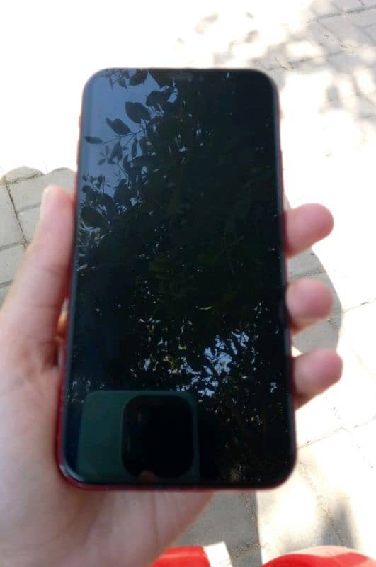 iphone XR all ok 3