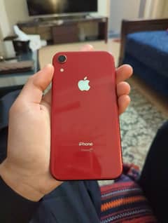 iphone XR 64gb