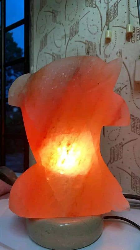 PINK SALT LAMPS. 6