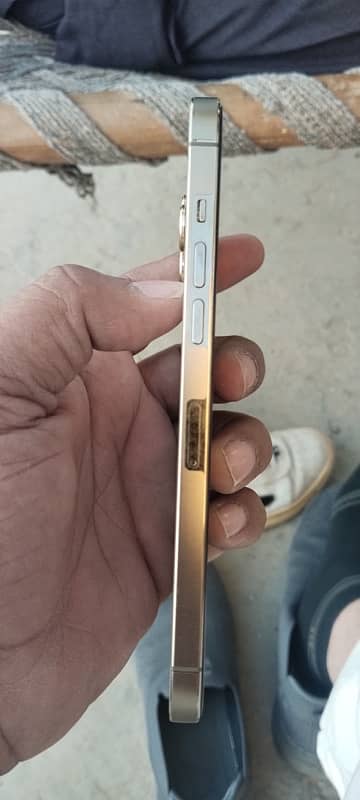 Iphone 12 Pro Max PTA Approved 1