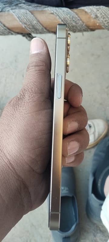 Iphone 12 Pro Max PTA Approved 2