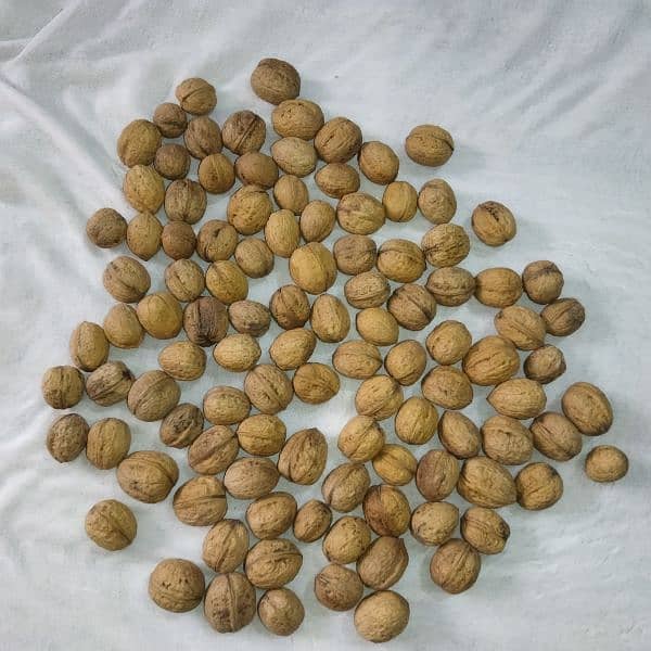 "Fresh High Quality Walnuts for sale" 0