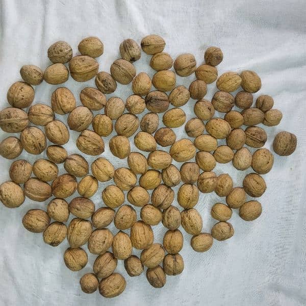 "Fresh High Quality Walnuts for sale" 1