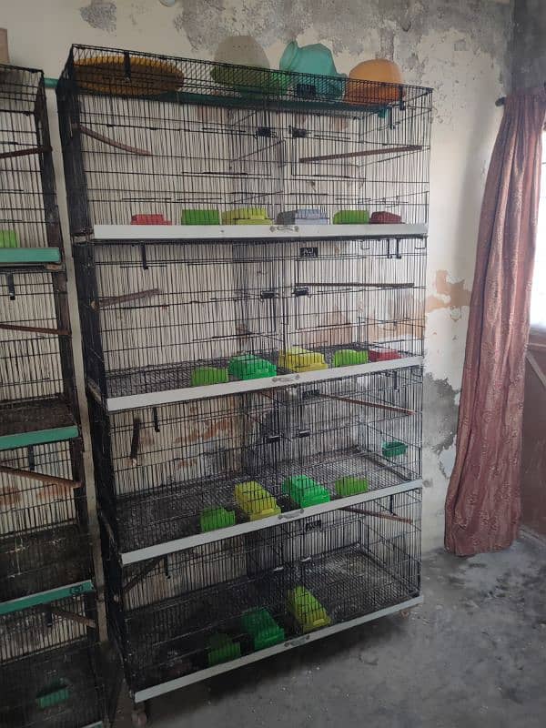 1.5X2 (8 portion cages) Brooder 1