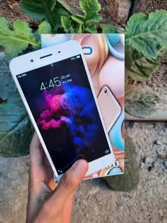 Vivo Y66 4/64Gb Mobile 4G / No oppo vivo infinix tecno iphone