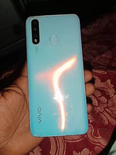 vivo