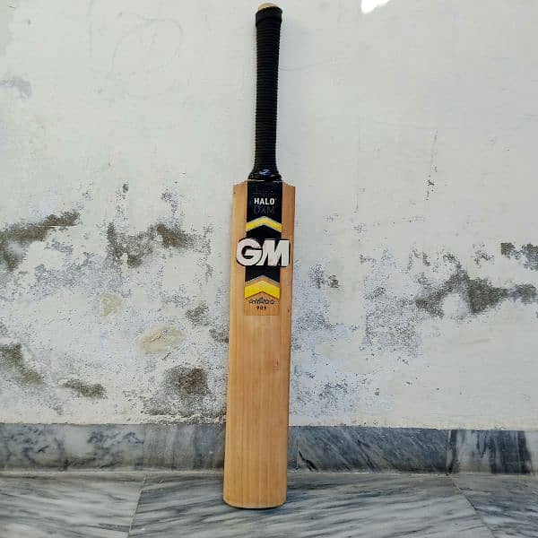 English Willow Gm Hola hard ball bat 0