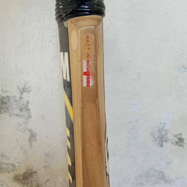 English Willow Gm Hola hard ball bat 2