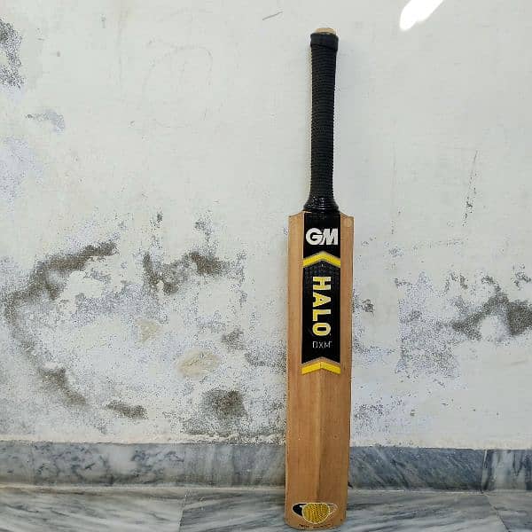 English Willow Gm Hola hard ball bat 3