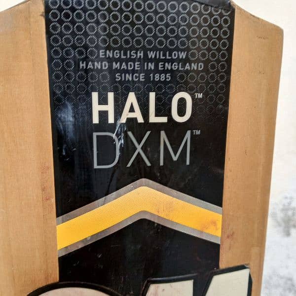 English Willow Gm Hola hard ball bat 4