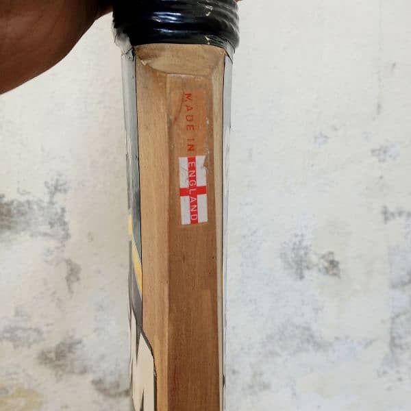 English Willow Gm Hola hard ball bat 5