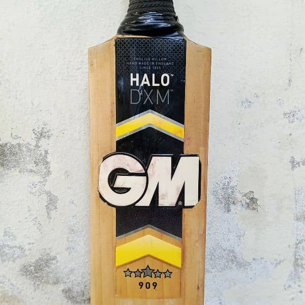 English Willow Gm Hola hard ball bat 6