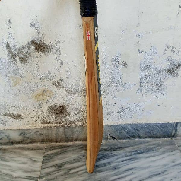 English Willow Gm Hola hard ball bat 8