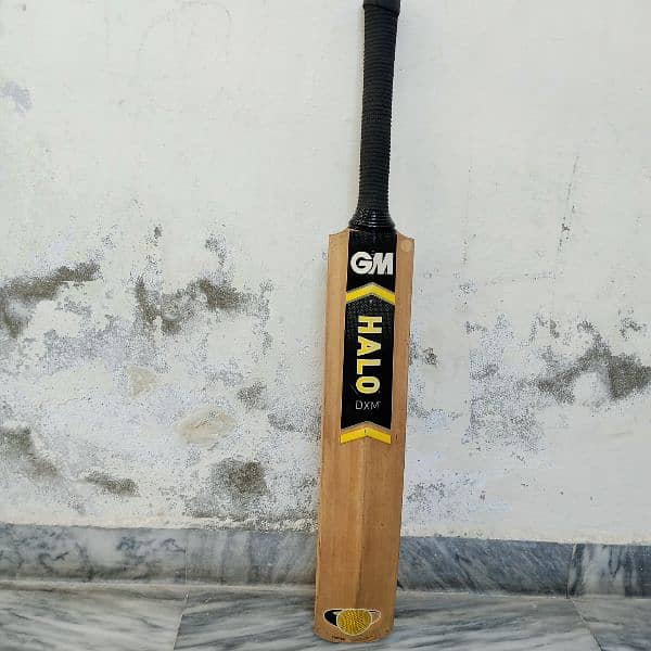 English Willow Gm Hola hard ball bat 9