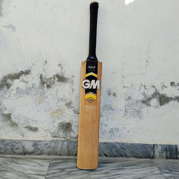 English Willow Gm Hola hard ball bat 10