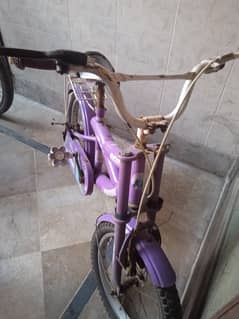 Frozen Bicycle For Kids Aged 7-13  Years