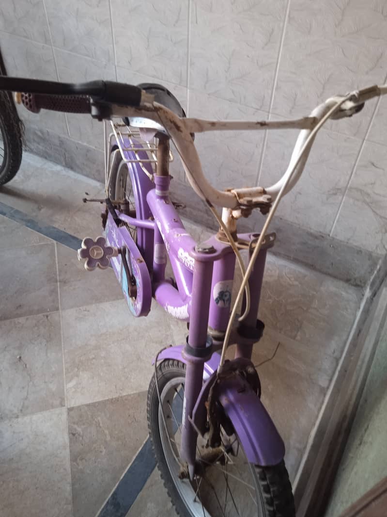 Frozen Bicycle For Kids Aged 7-13  Years 0