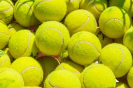 Hard tennis ball for cricket. Pack of six