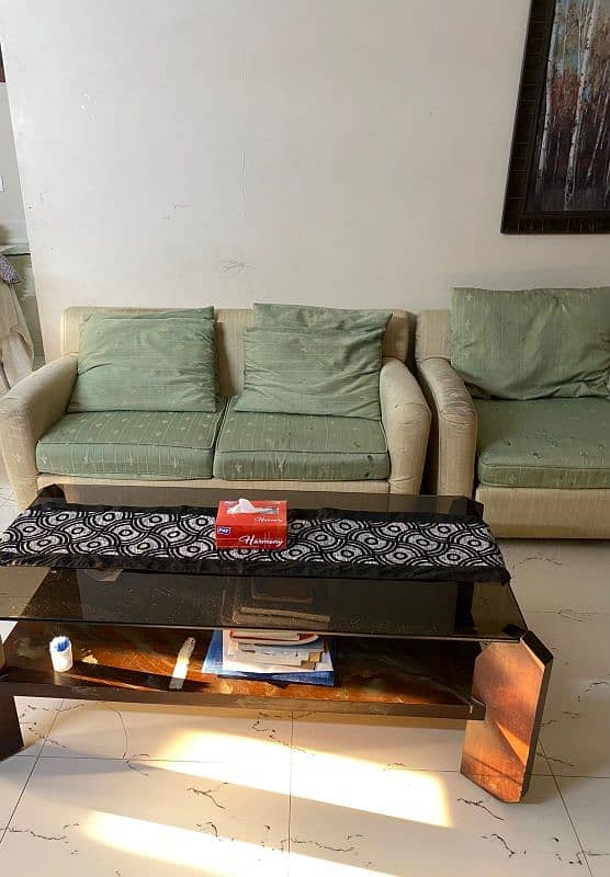 3seater sofa with center table 1