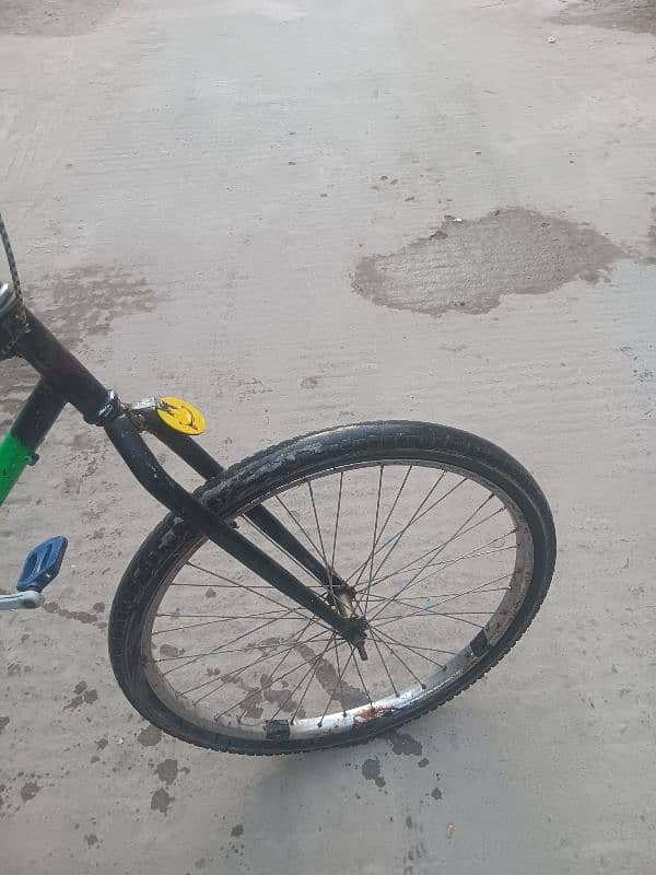 Phoenix cycle  for sale 10/8 condition  location frash town Islamabad 1