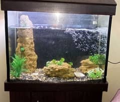 Fish Tank Set up For Sale in All Parts