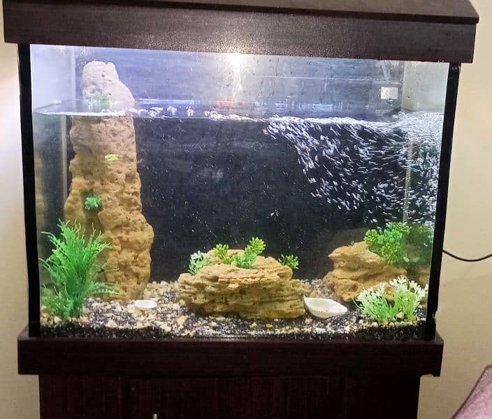 Fish Tank Set up For Sale in All Parts 0