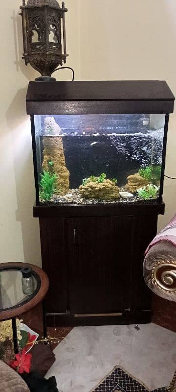 Fish Tank Set up For Sale in All Parts 1