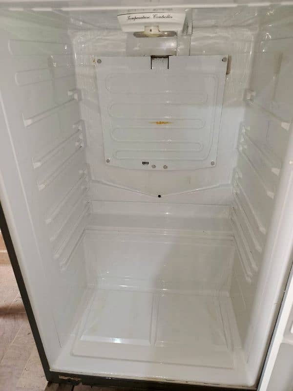 Jumbo Size Fridge 1