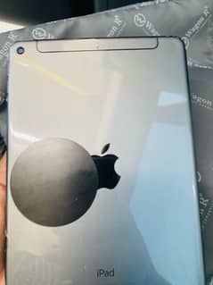 ipad mini 5