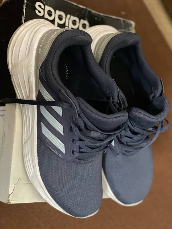 Adidas Premium Plus Shoes 1