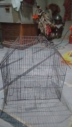 Birds cage