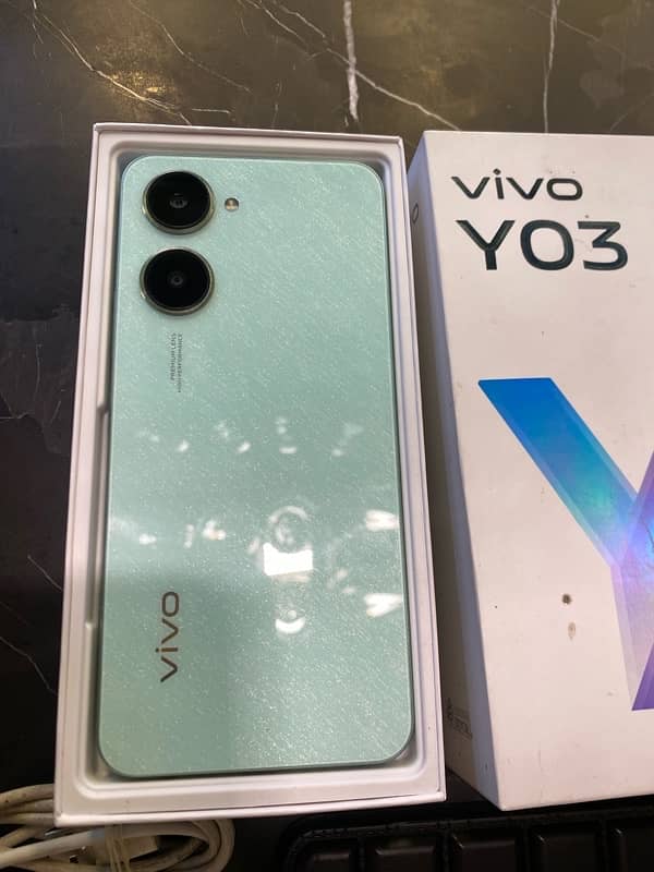 Vivo Y03 1