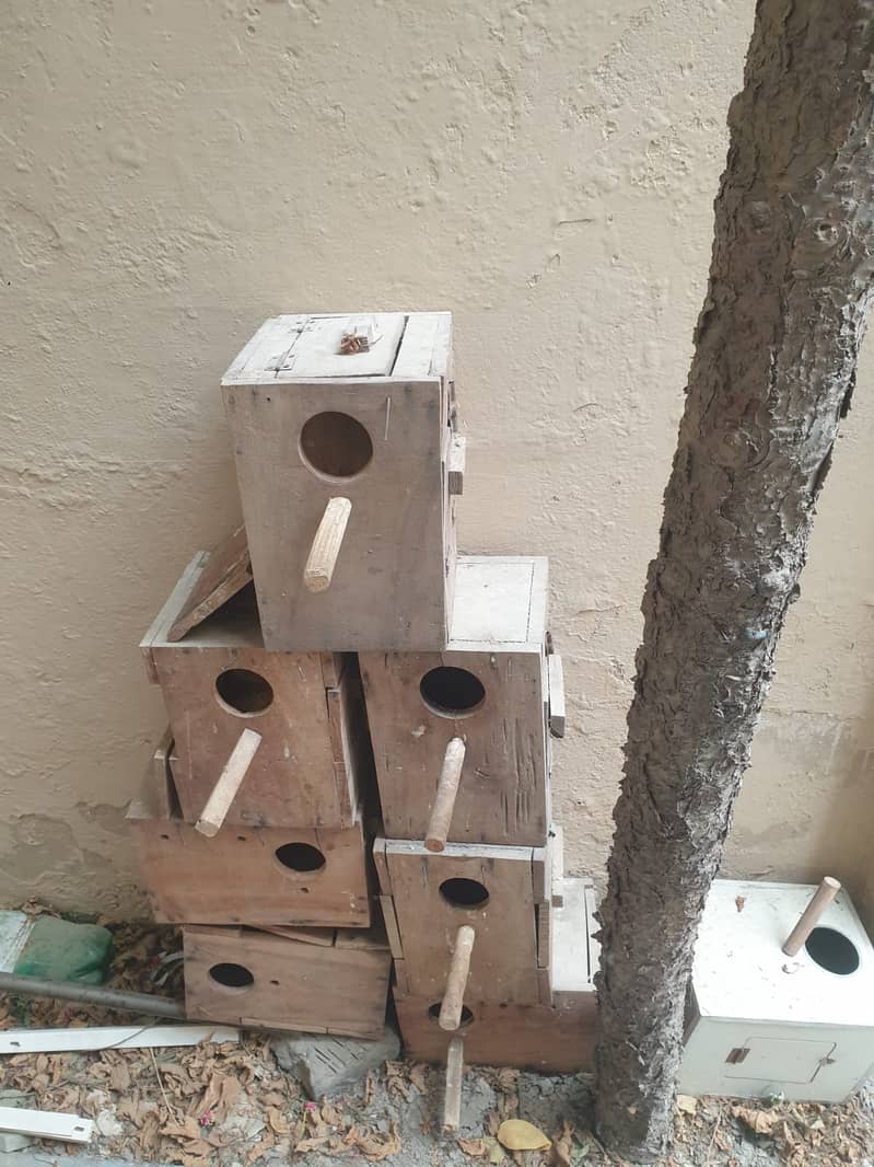 Love bird boxes Available for sale 1