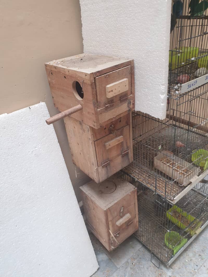 Love bird boxes Available for sale 2