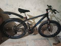 bicycle lizer star full size (03356535356)