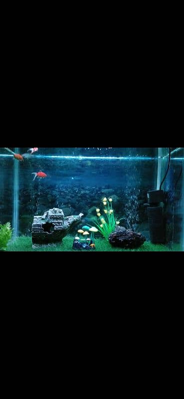 complete aquarium setup 0