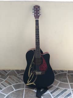 acoustic guitar